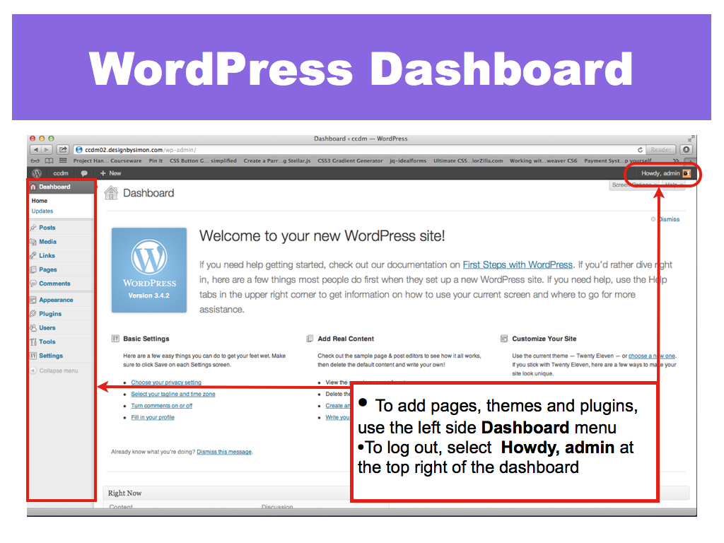 4: View the WordPress Dashboard