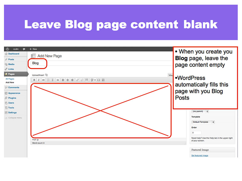 4: Make a Blog page