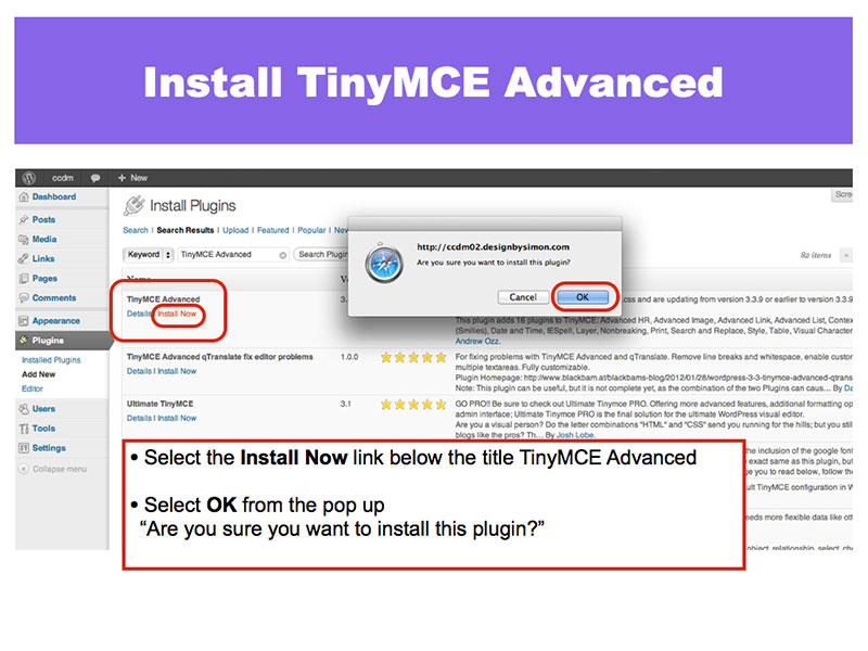 2: Install TinyMCE Advanced
