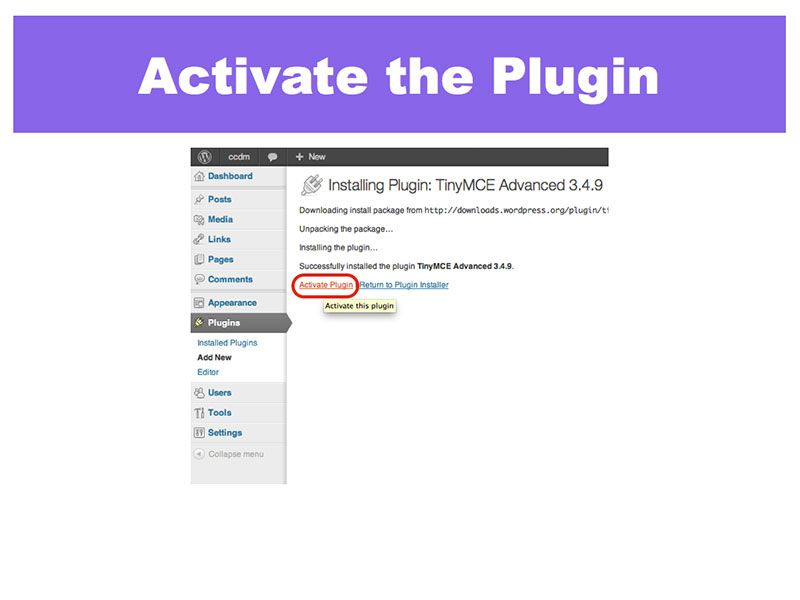 3: Activate the Plugin