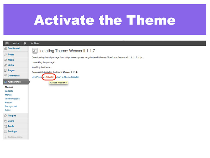 4: Activate the Theme