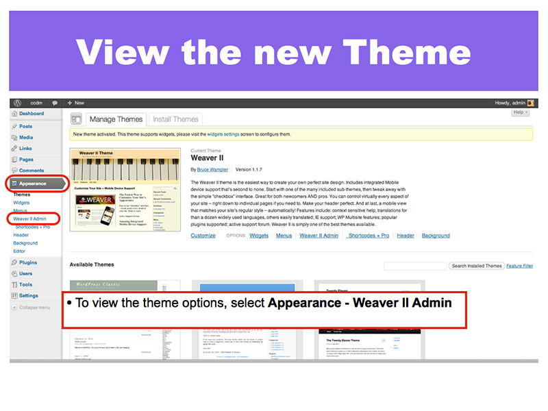 5: View the new Theme