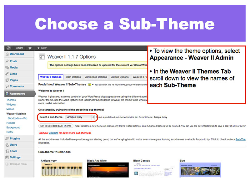6: Choose a Sub-Theme