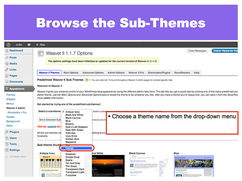 7: Browse Sub-Themes