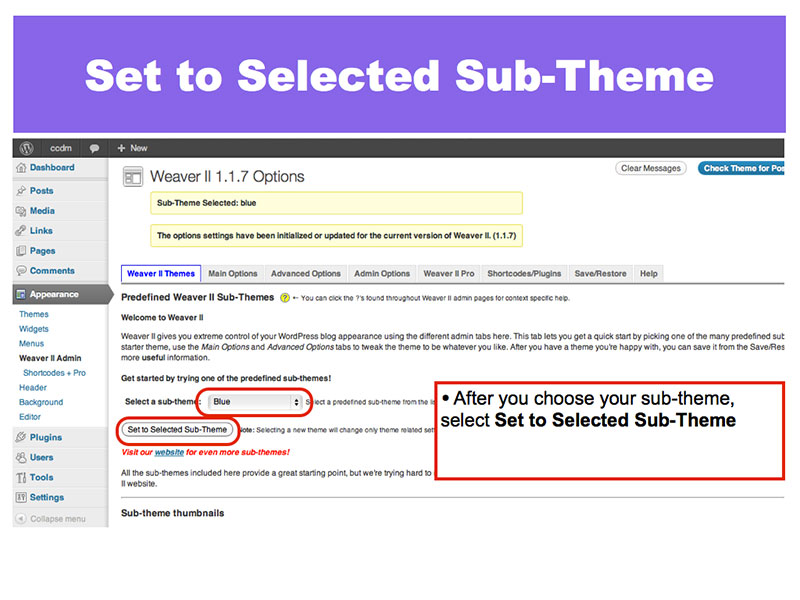 8: Set to Selected Sub-Theme