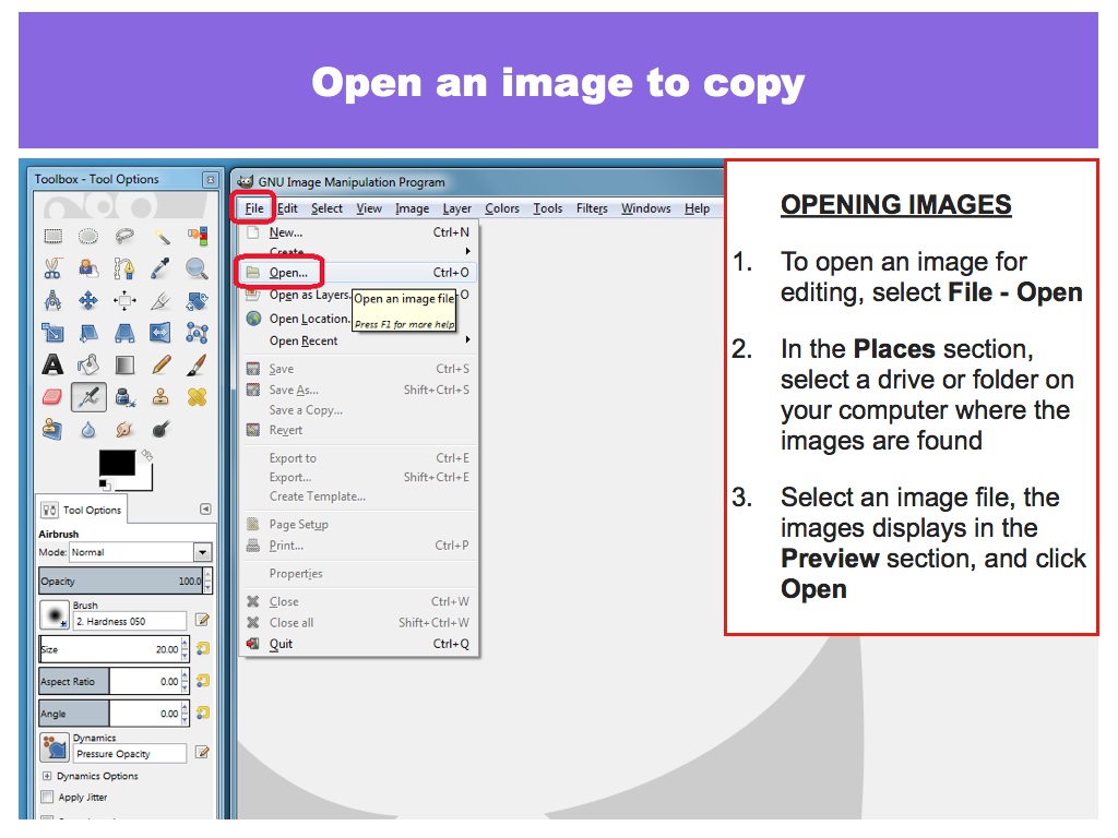 Open an image to copy to the New Layer