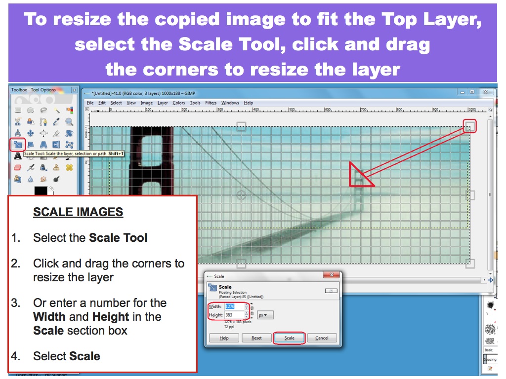 Scale the image to fit