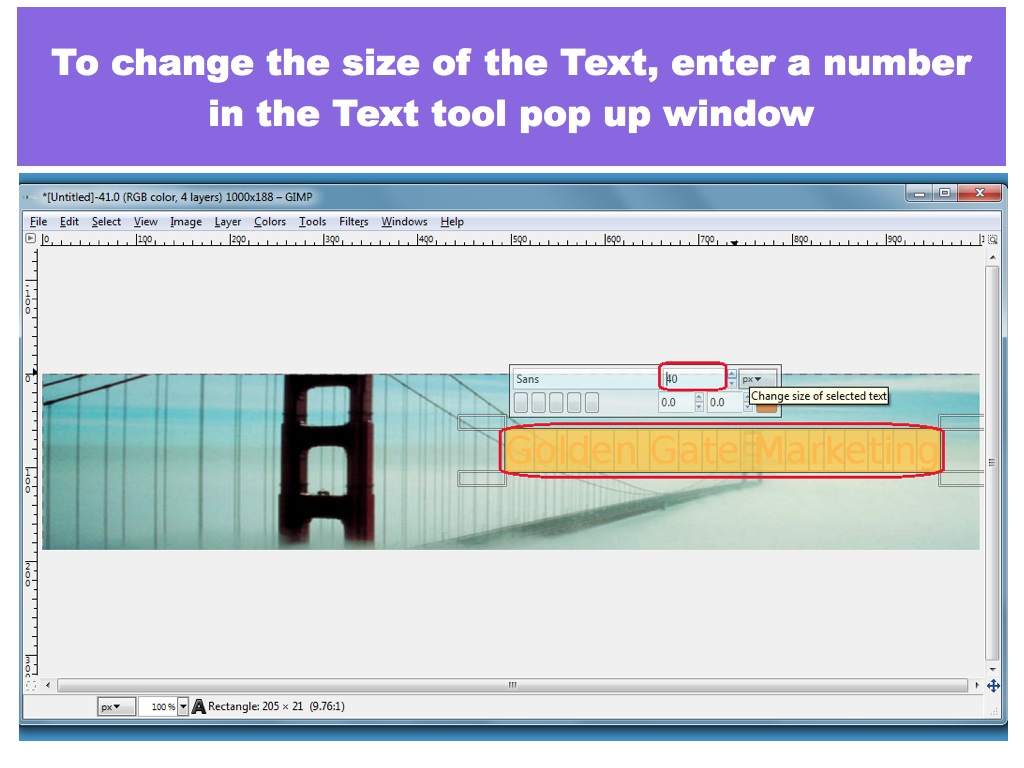 Enter a Number to change the Text Size