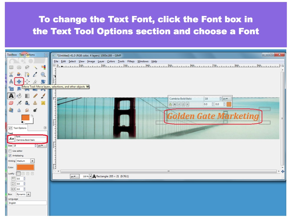 Select a Font from the Font text box