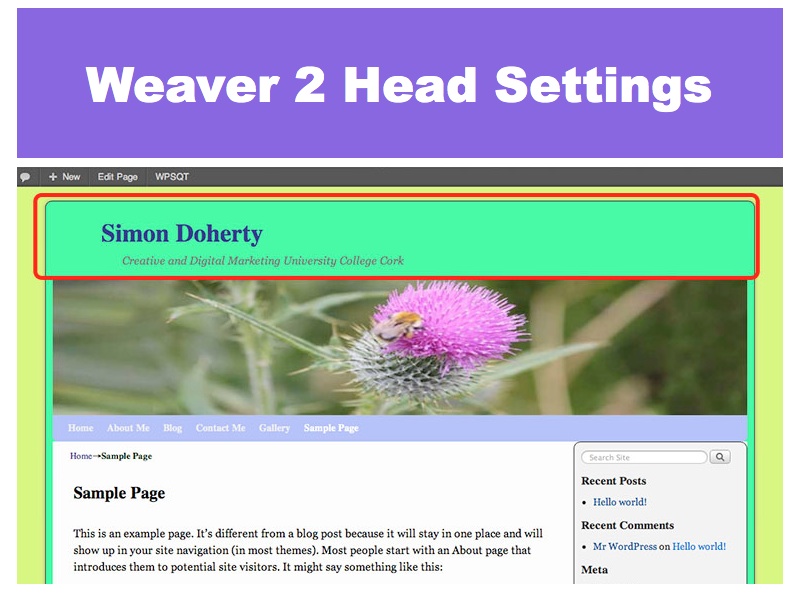 Weaver 2 Head Settings