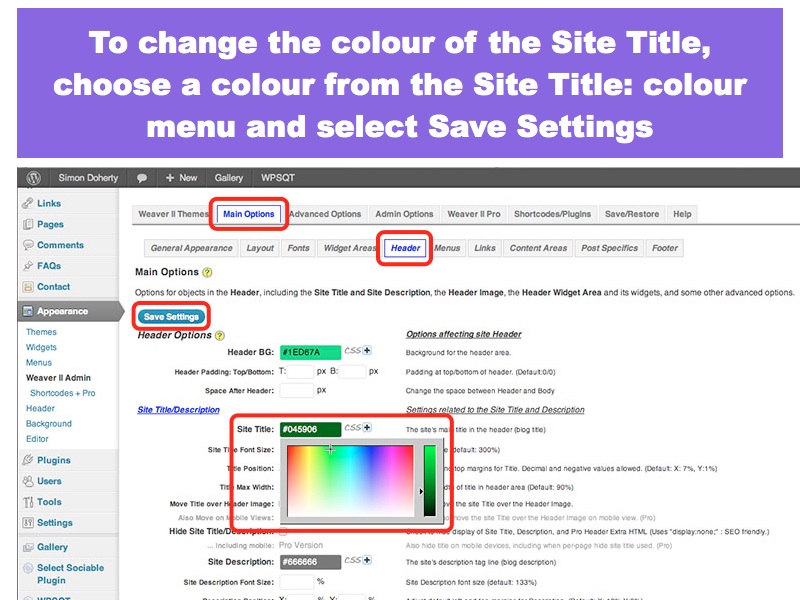 Change Site Title Colour