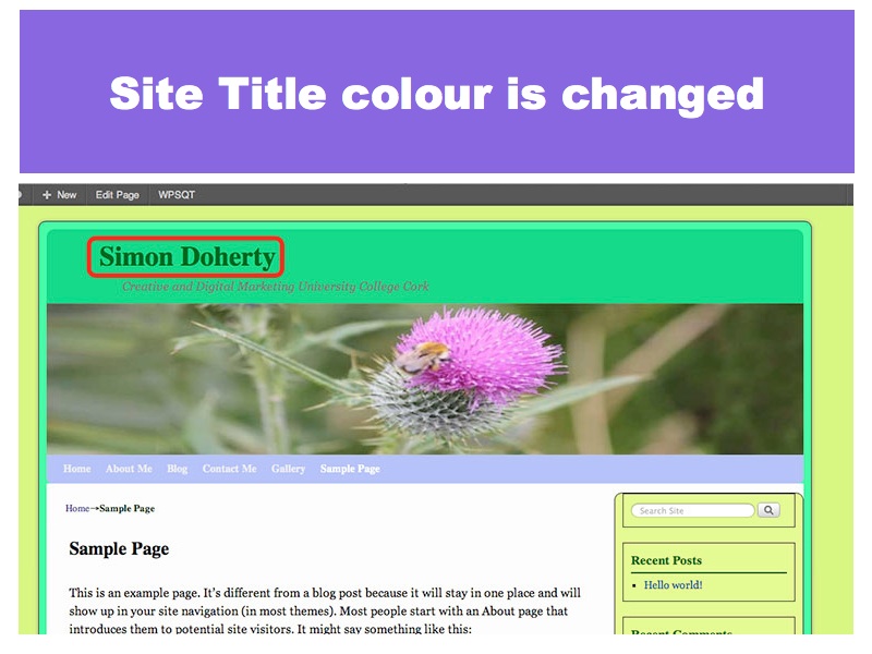 The Site Title Colour is changed